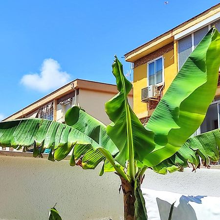 Manuela Nogales Apartments! マラガ エクステリア 写真