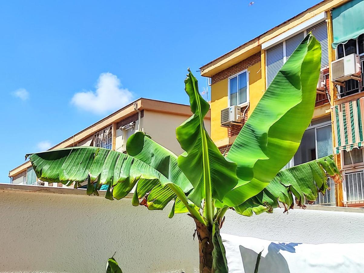 Manuela Nogales Apartments! マラガ エクステリア 写真