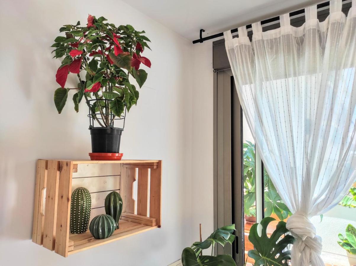 Manuela Nogales Apartments! マラガ エクステリア 写真